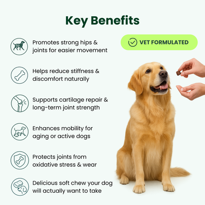 Pawzo Hip & Joint Soft Chews
