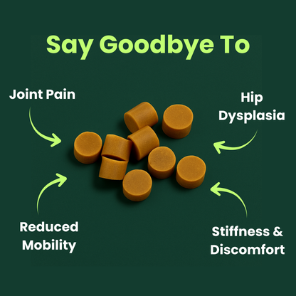 Pawzo Hip & Joint Soft Chews