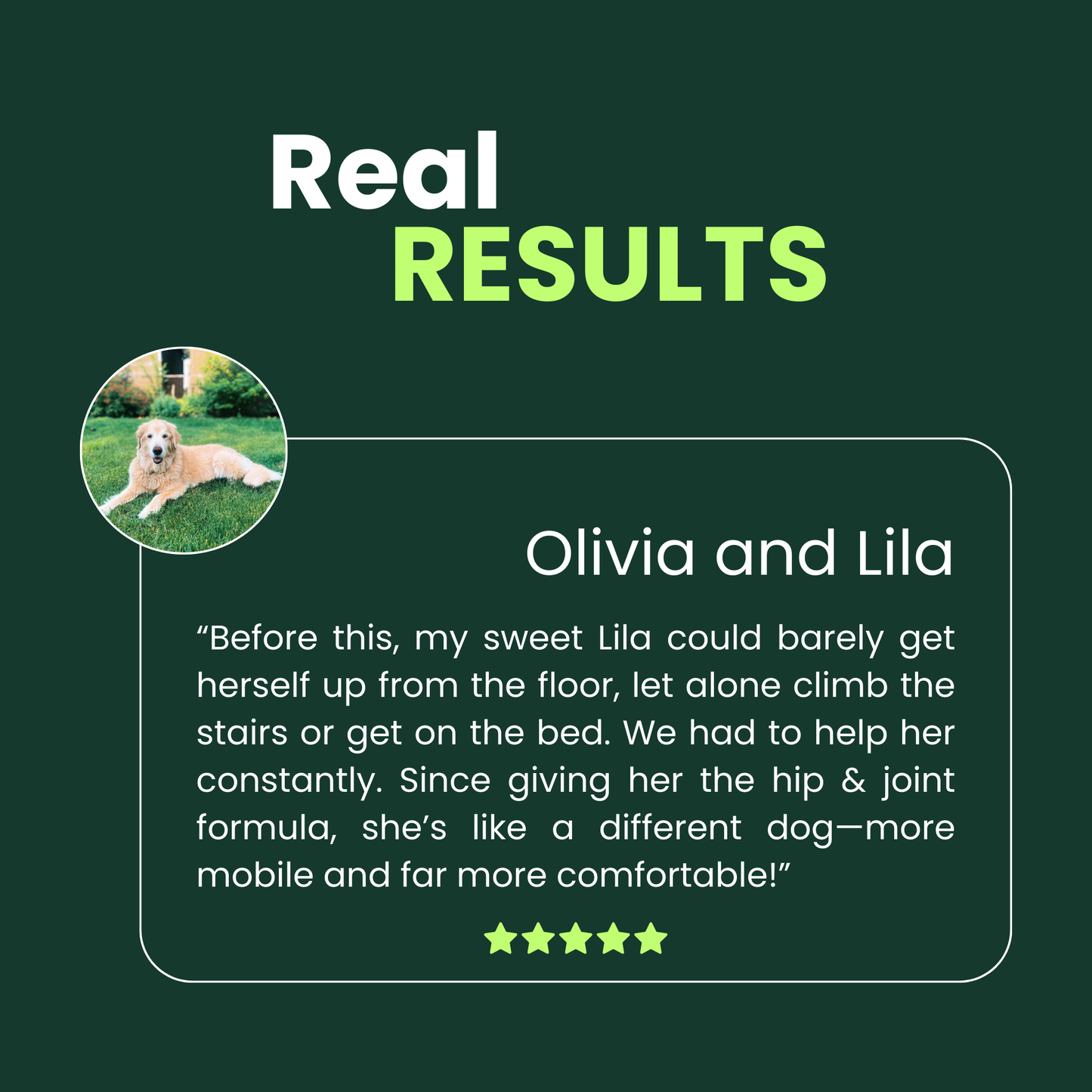 Pawzo Hip & Joint Soft Chews