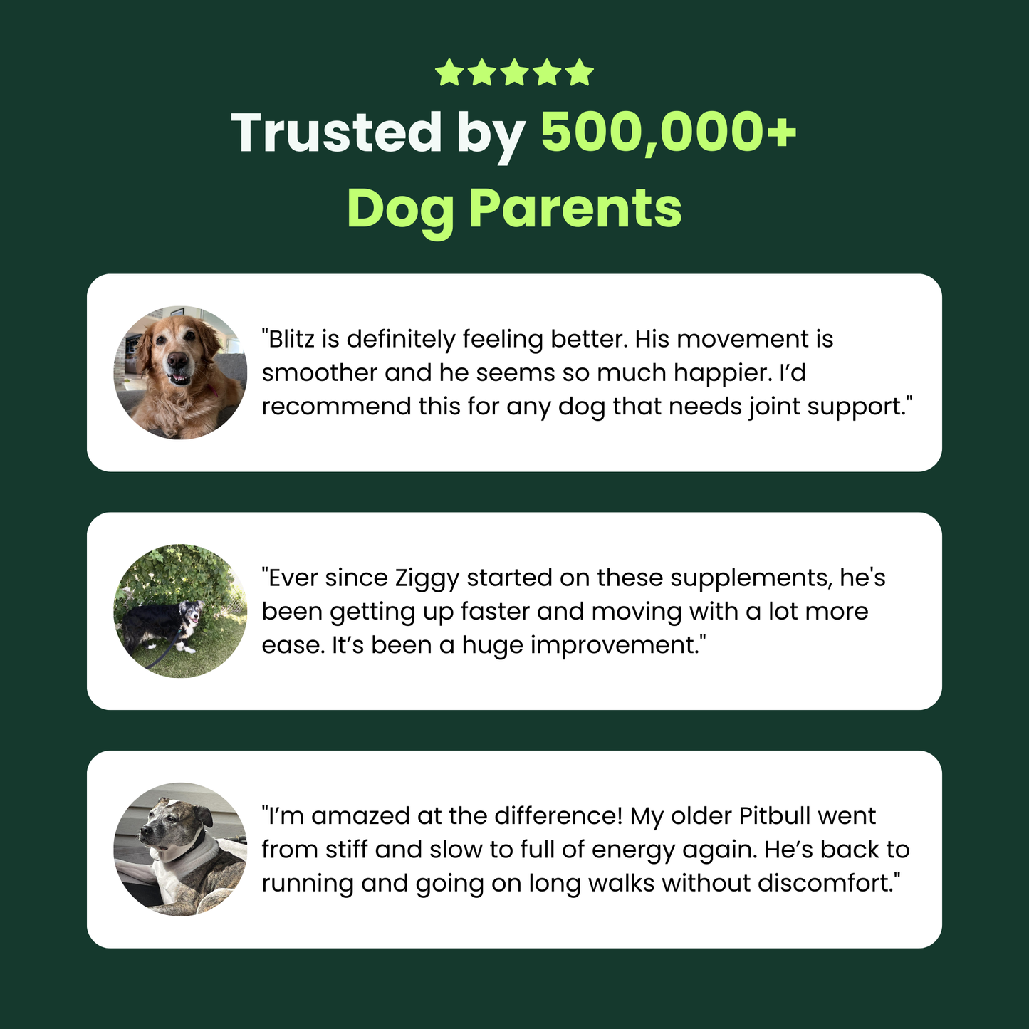 Pawzo Hip & Joint Soft Chews