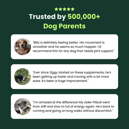 Pawzo Hip & Joint Soft Chews