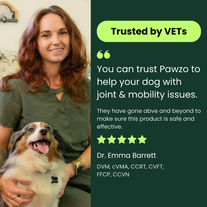 Pawzo Hip & Joint Soft Chews